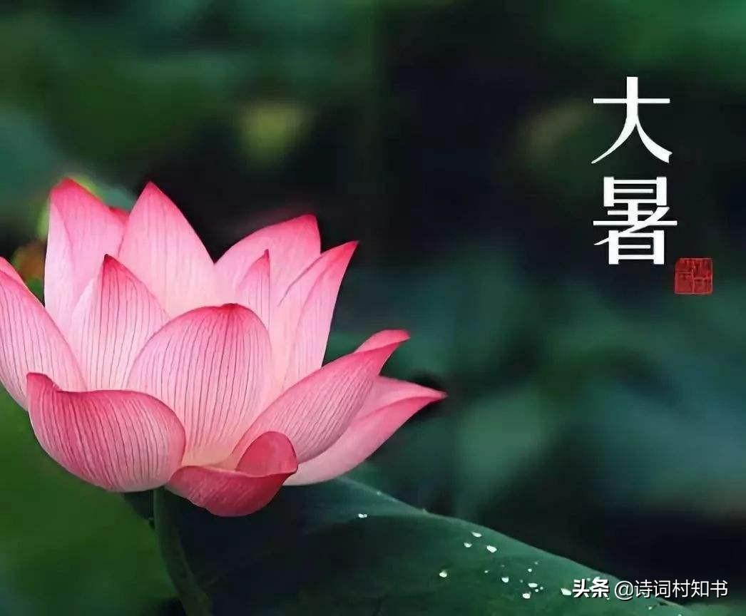 关于大暑的诗词诗句大全（二十四节气大暑古诗词）