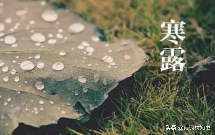 赞美寒露古诗词有哪些（寒露古诗词18首）