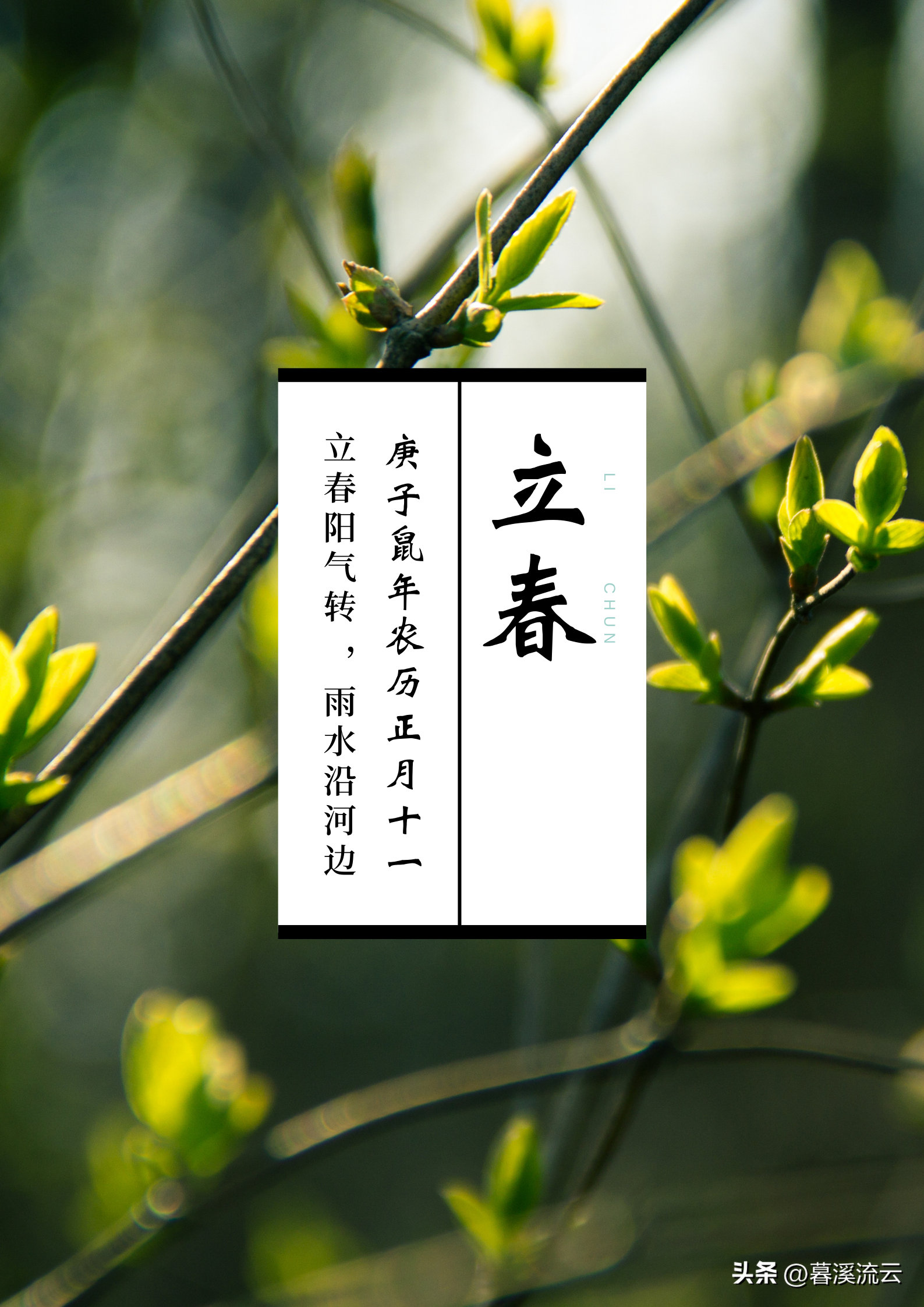 描写节气立春的诗词（十首经典立春诗词）