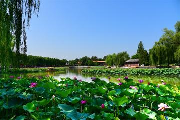 那些夏天的公园作文（《公园的风景》）