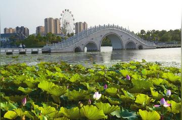 那些夏天的公园作文（《公园的风景》）