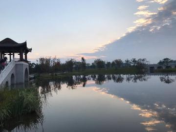 那些美丽的花园作文（《花园的景色》）