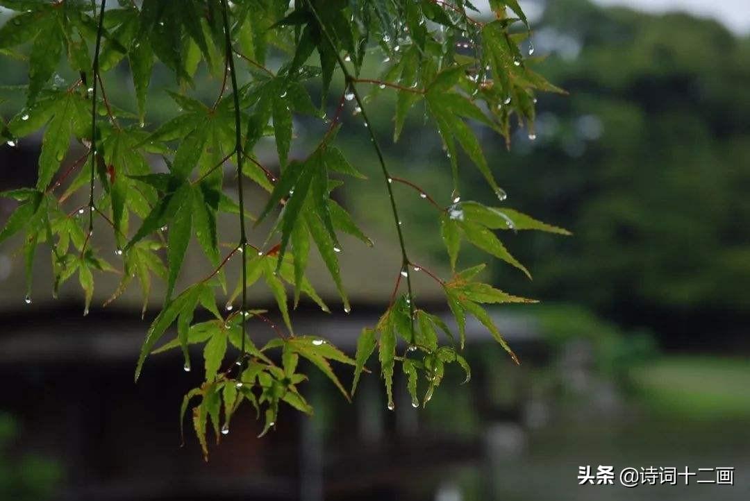 描写夏天的唯美诗词（25首关于夏天雨水的古诗词）