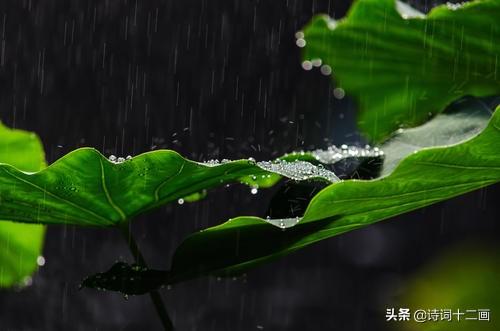 描写夏天的唯美诗词（25首关于夏天雨水的古诗词）