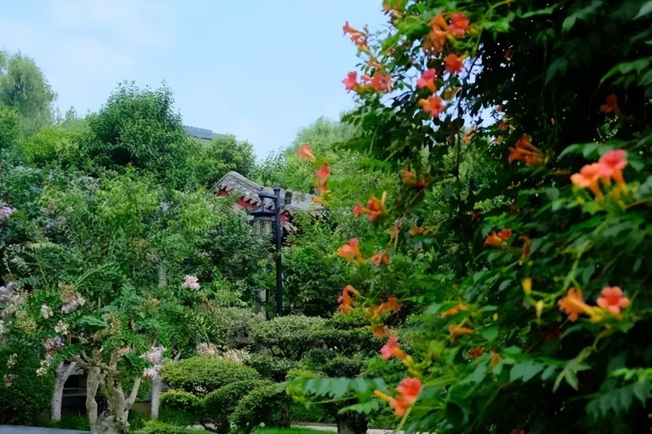 夏雨诗词名句大全（蒙蒙细雨意境的诗句）