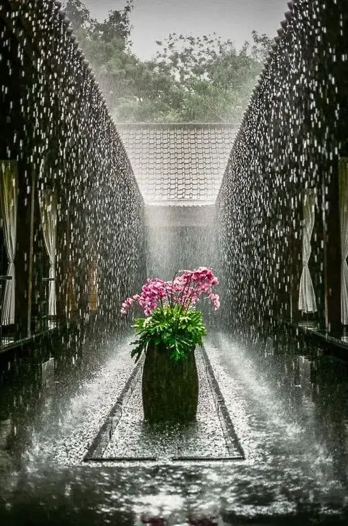 夏雨诗词名句大全（蒙蒙细雨意境的诗句）