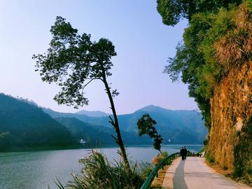 那些乡村的风景作文（《乡村的故事》）