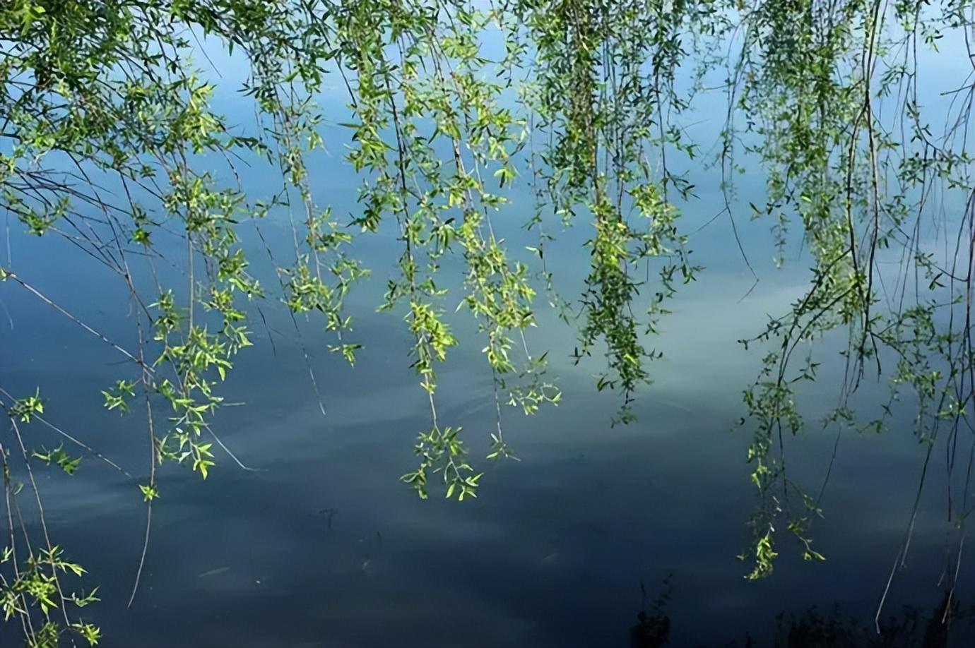 送春诗词翻译及原文（十二首送春诗词）