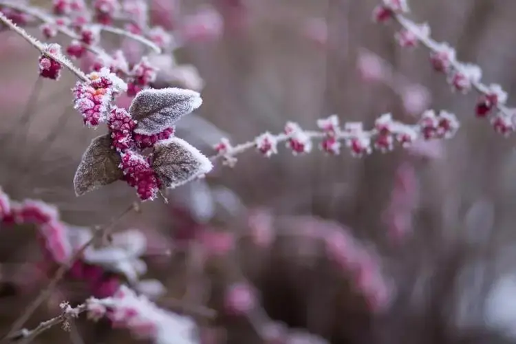 憨山大师诗词全集（十首憨山大师的诗词）