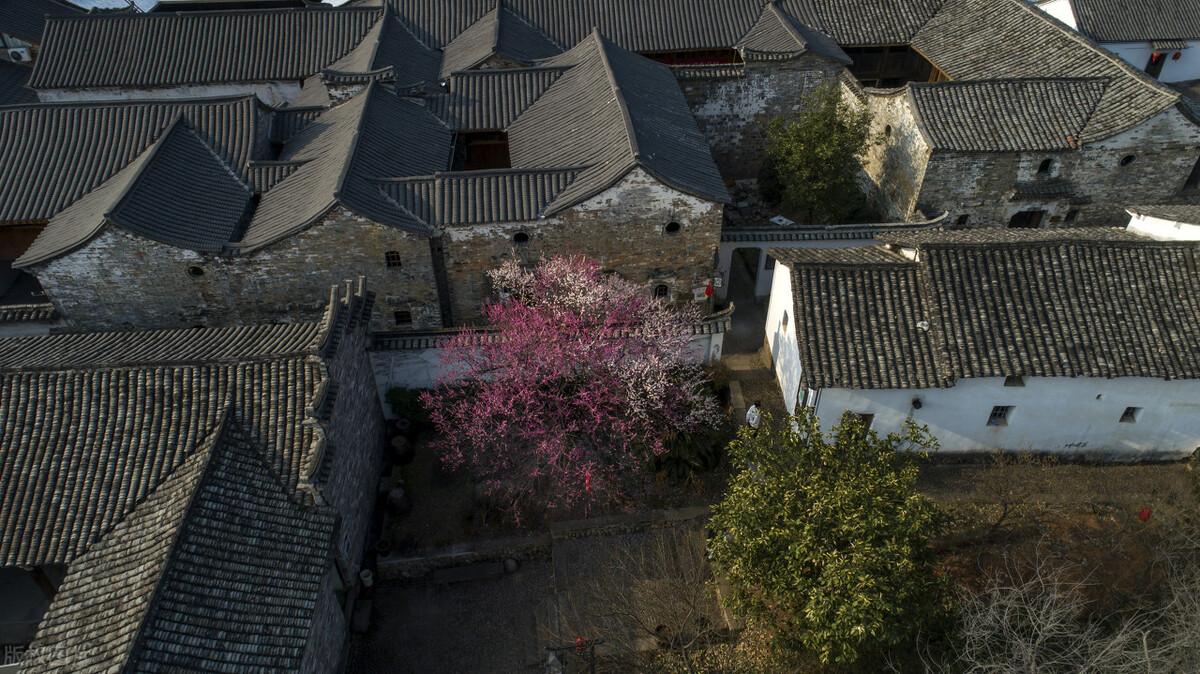 村居诗词鉴赏（村居诗词意思解释）