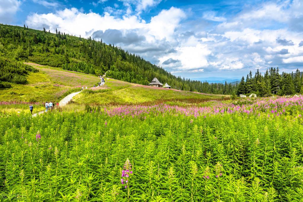 安静的山居生活诗词（诗意山居十六首古诗句）