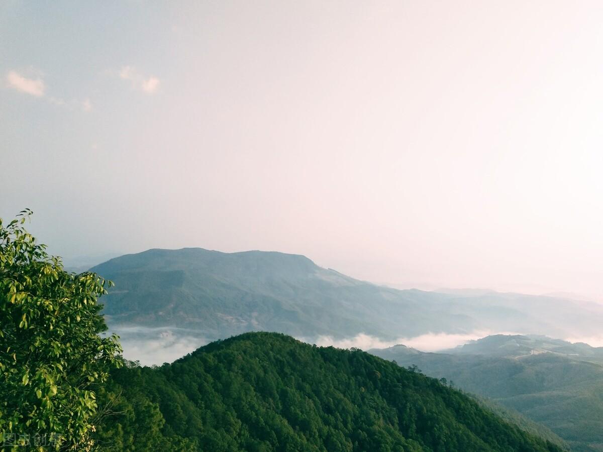 用青山表达爱意的诗词（十首著名青山诗词）