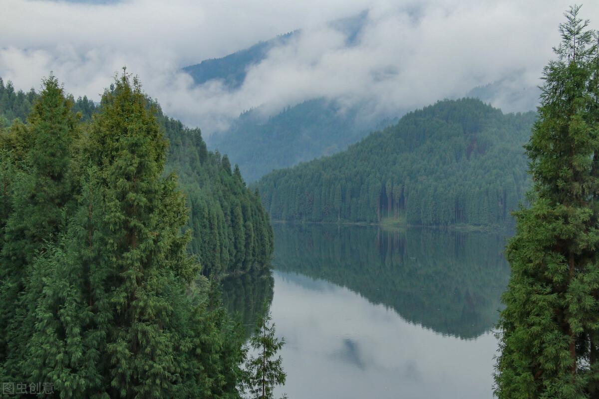 用青山表达爱意的诗词（十首著名青山诗词）