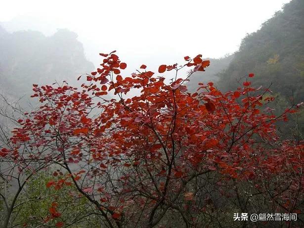 秋天诗词名句（适合秋天的诗词）