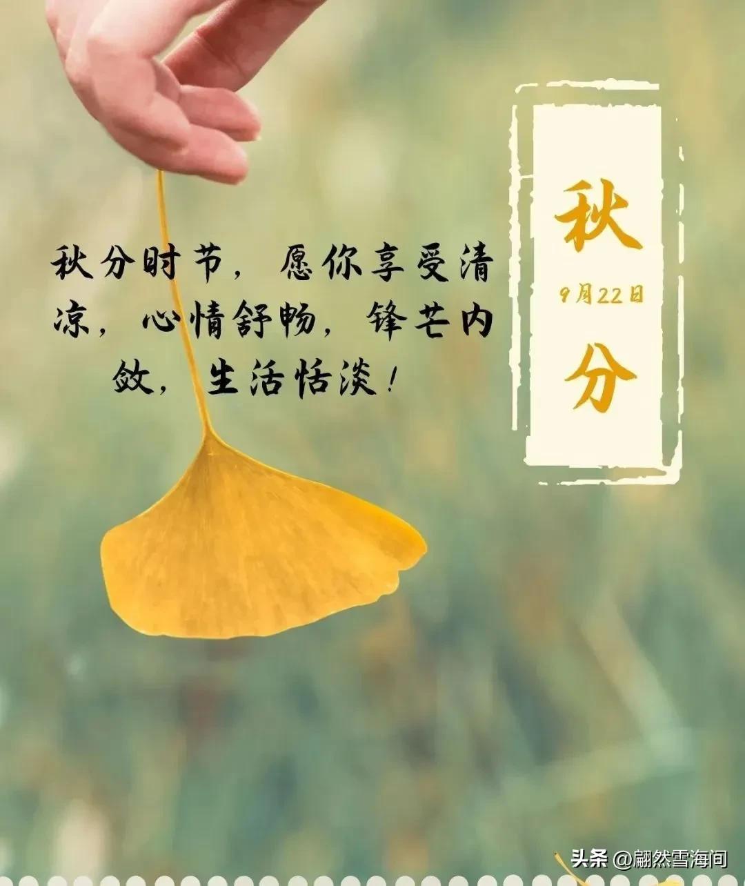 秋天唯美诗句有哪些（秋天十大绝美诗句）