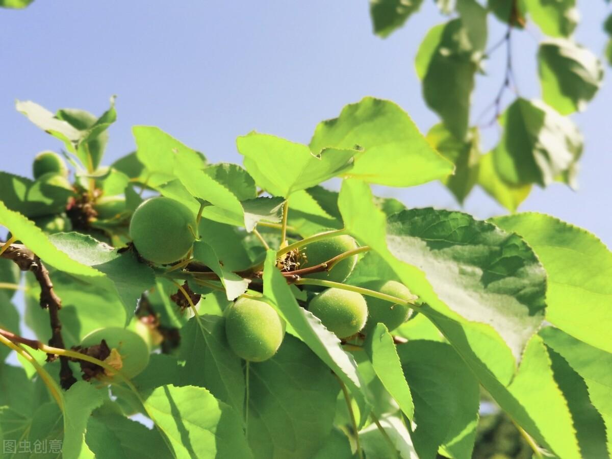 永不相忘的诗句（10首无情诗词）