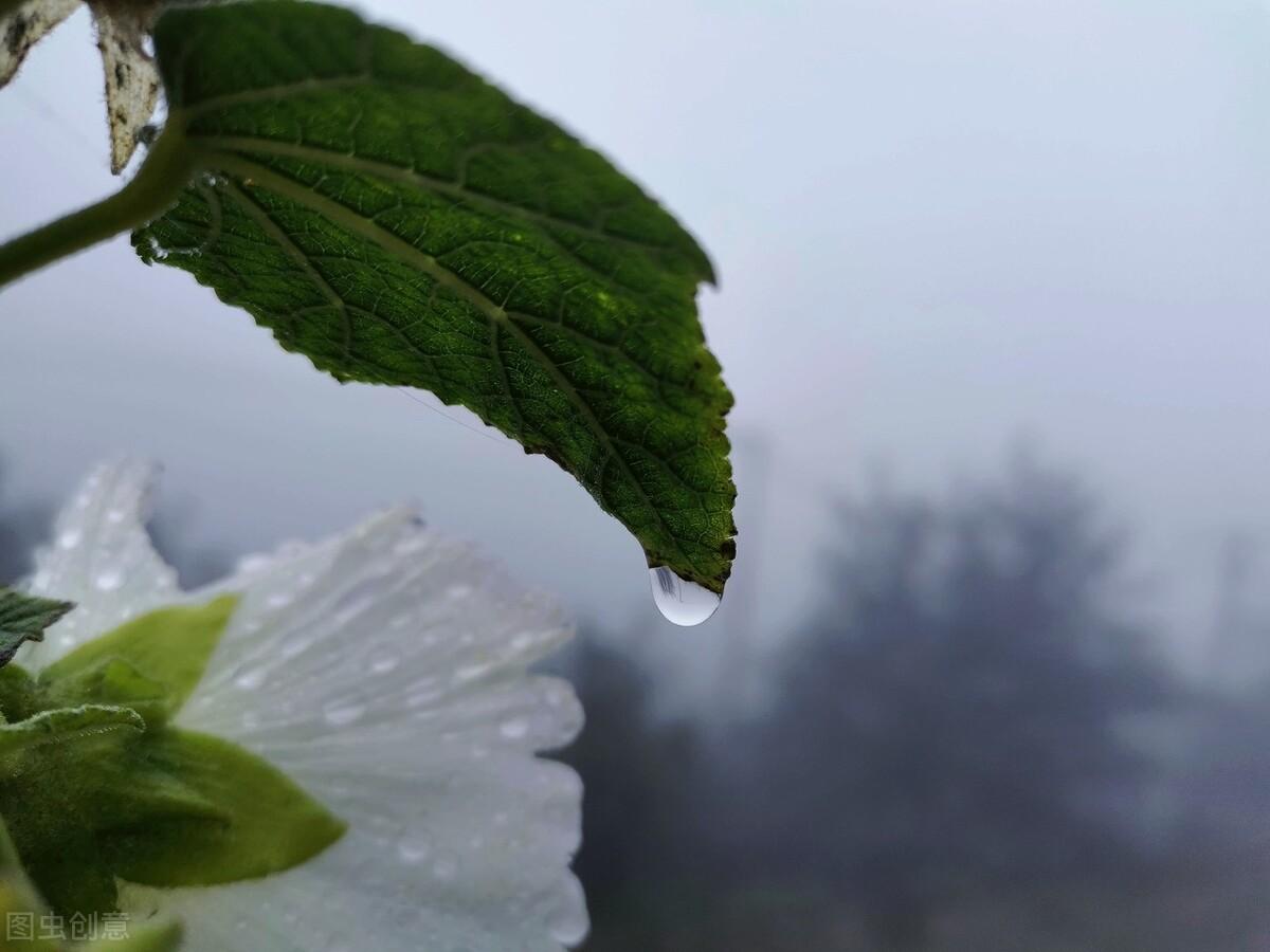 打开心灵之窗的诗词名句（打开心灵的诗词）