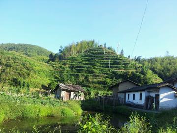 我爱家乡的草莓作文（《家乡的风景》）