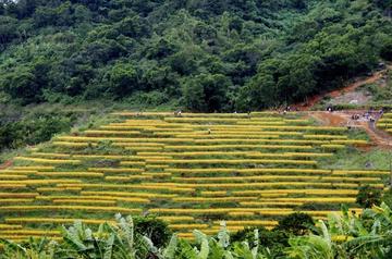 那些家乡的广场作文（《家乡的风景》）