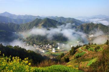 那些家乡的景色作文（《家乡的风景》）