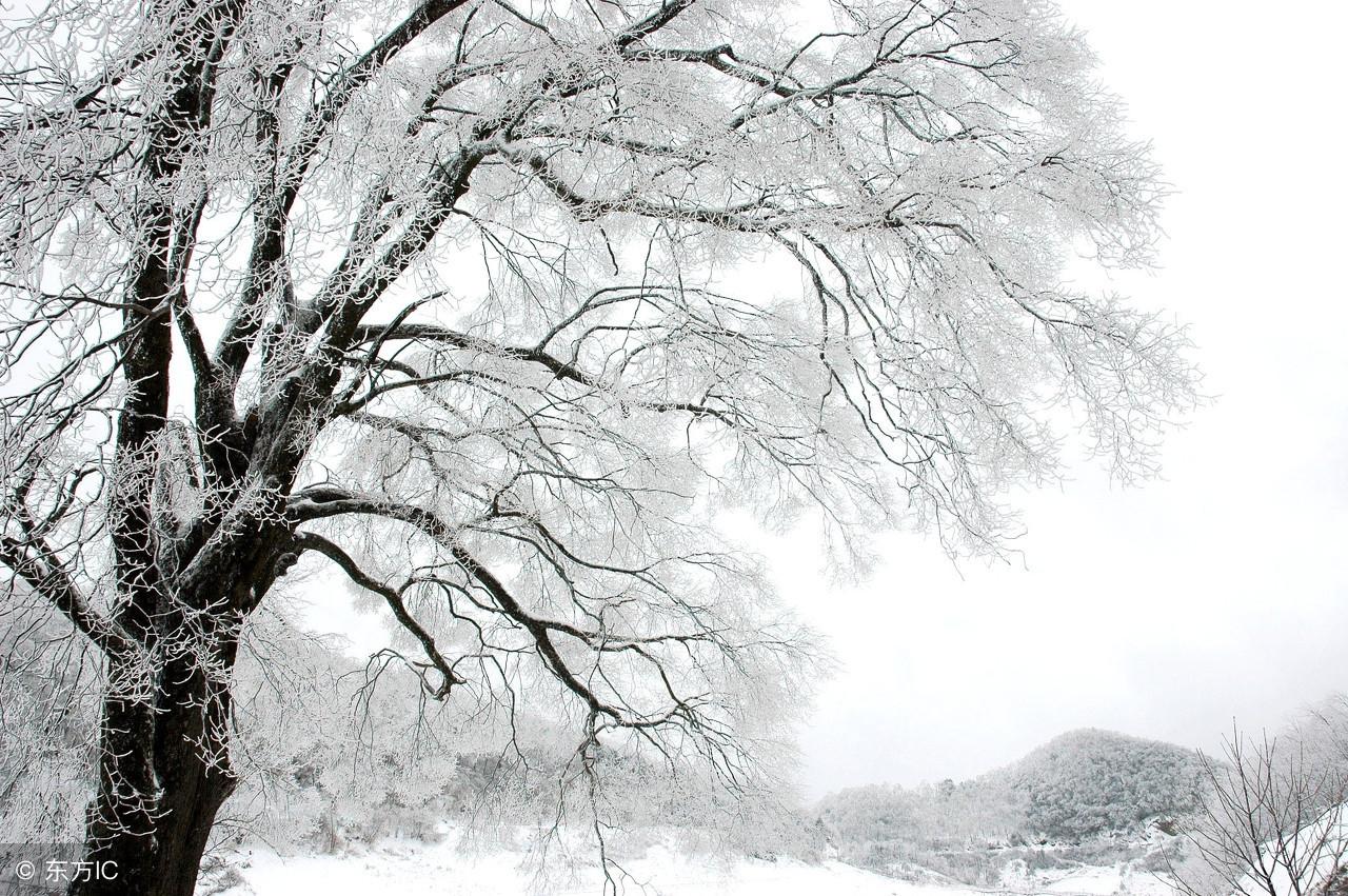 冰雪诗词名句（美得令人窒息的古诗词）