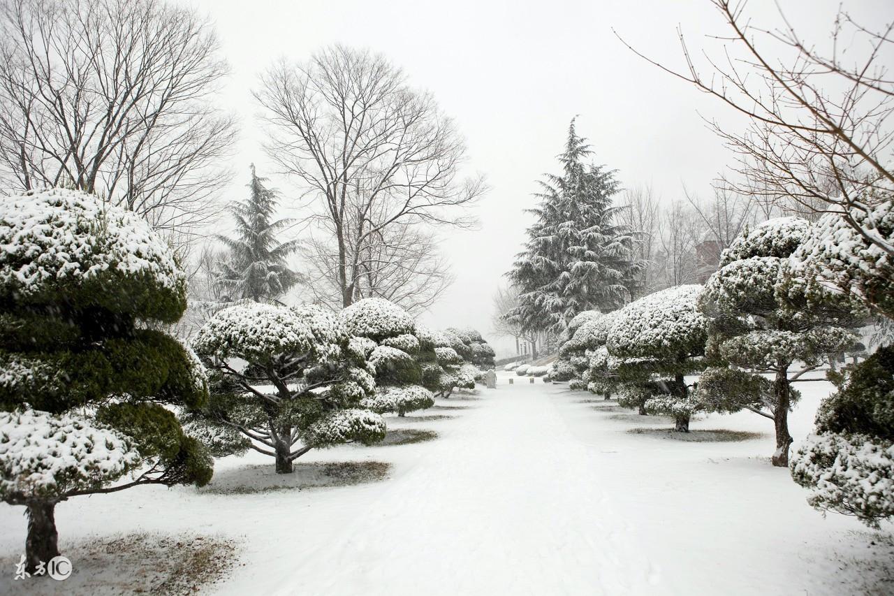 描写雪景的唯美古诗句（美到心碎的大雪诗词佳句）