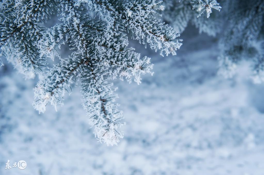 描写雪景的唯美古诗句（美到心碎的大雪诗词佳句）