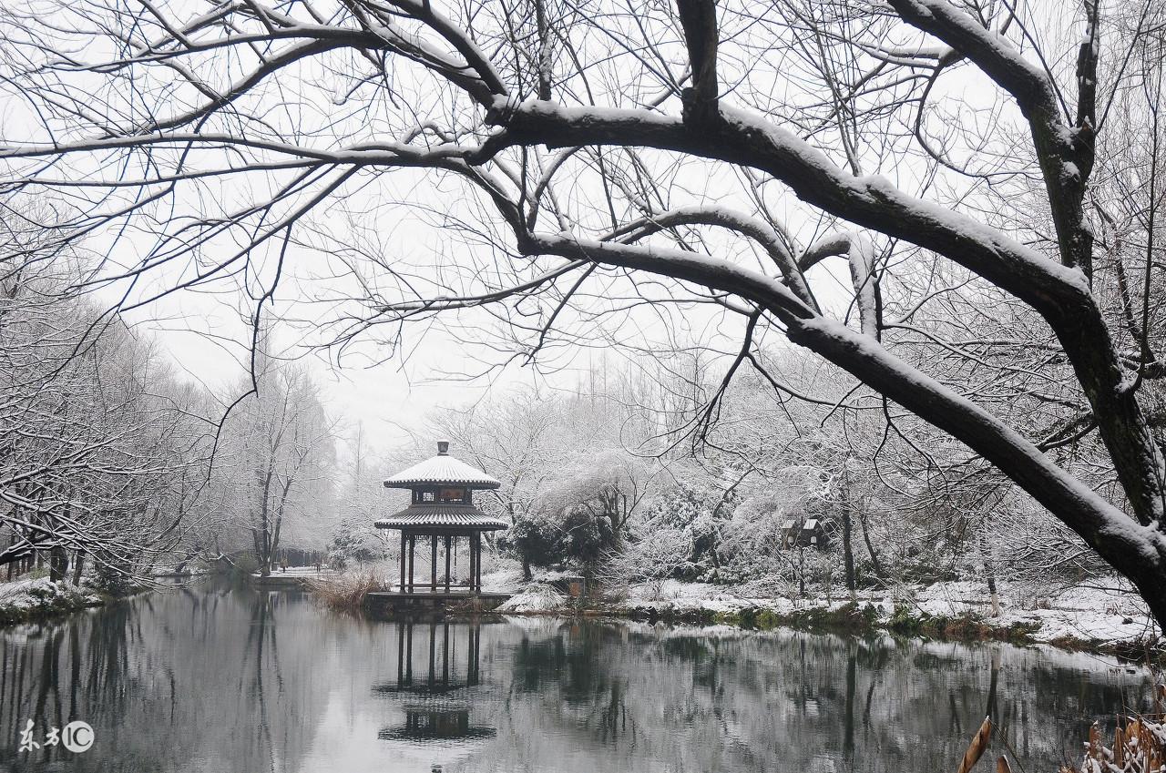 描写雪景的唯美古诗句（美到心碎的大雪诗词佳句）