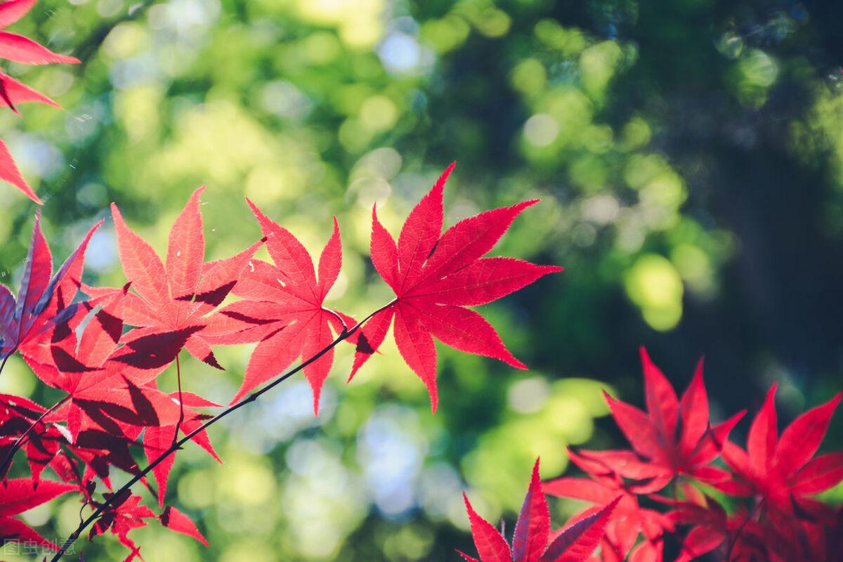 离别祝福前程的诗句（五首送别的诗）