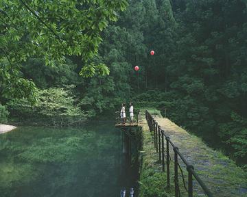 那些家乡的柿子作文（《家乡的风景》）