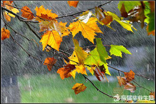 描写春雨的优美短句子大全（一场轻柔细腻的雨）