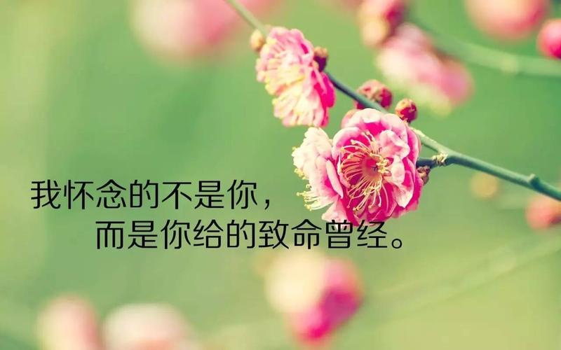 早安发朋友圈短句（《清晨的微光》）