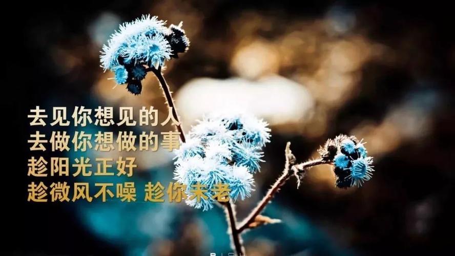 自己压抑心累的说说（心累，自我压抑的代价）