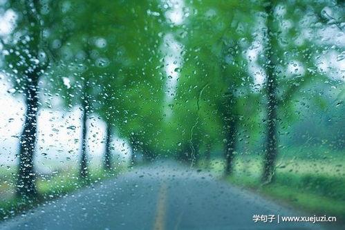 有关描写下雨的优美唯美句子的句子简短（诗意盎然的细雨世界）