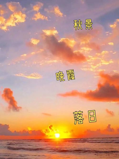 有关描写夕阳的优美唯美句子的好句子摘抄（夕阳的千姿百态）