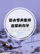 下雪的幽默风趣的句子（《雪落幽林，唯美梦境》）