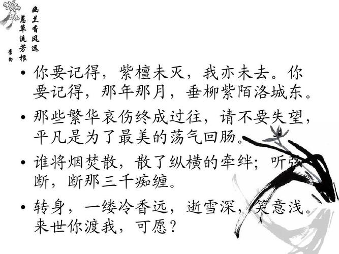 古风伤感经典句子句句穿心（落花有意，流水无情）