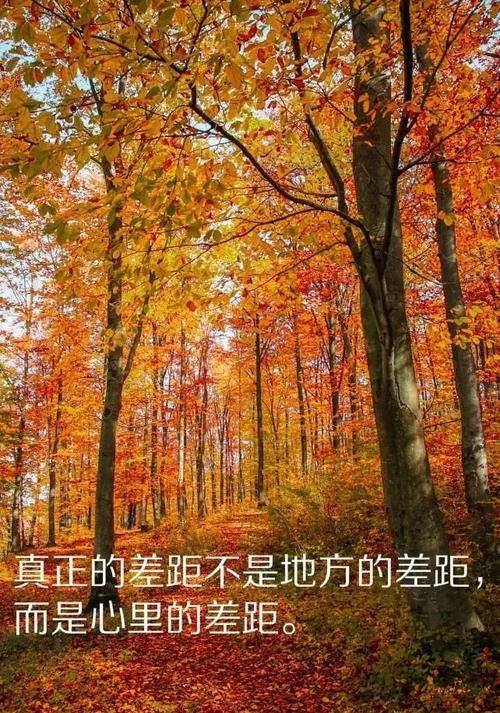 经典哲理句子摘抄（一场静谧的心灵之旅）