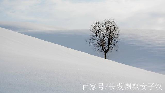 有关寂寞的唯美句子的句子简短（孤独的美）