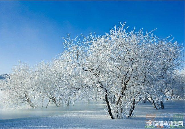 描写雪景的唯美句子短一点（唯美短句带你领略冬日的浪漫）