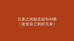 关于兄弟句子短句（兄弟情深：唯美句子篇）