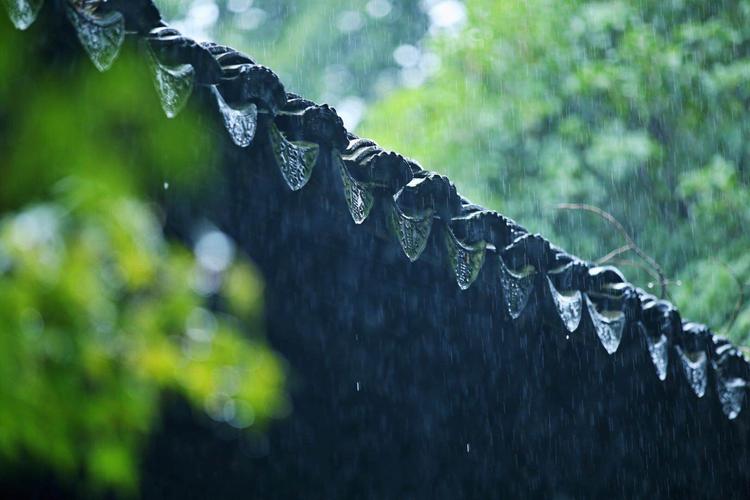 形容雨的佳句（细数那些美丽的雨天）