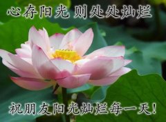 有关祝福的句子短句（祝福的力量）