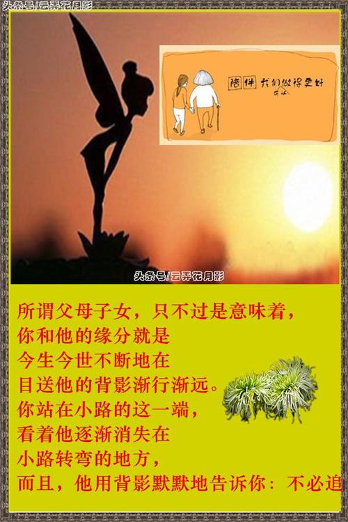 关于父母的爱的唯美句子（一生只为你付出，浓浓情意温暖心灵）