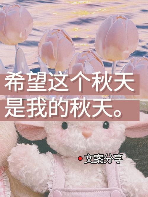 适合秋天发朋友圈的说说（点亮心灵的秋日花语）