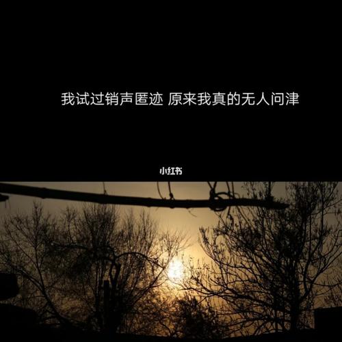 深夜情绪低落的句子（深夜消极情绪上头的唯美短句）