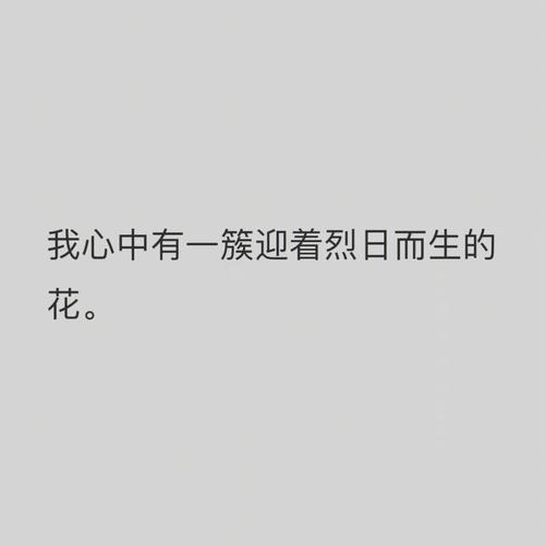 那些无关爱情的句子（无关爱情的优质唯美句子）