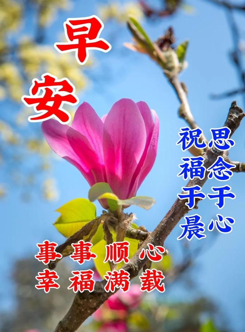 六月祝福语简短有意义（唯美句子祝福6月）