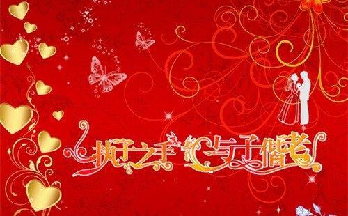 祝福公司的话语一句（祝福公司：祝福之源）