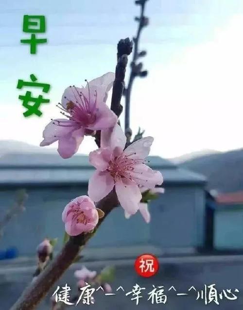 祝福六月最唯美的短句（六月祝福语，唯美句子尽情分享）